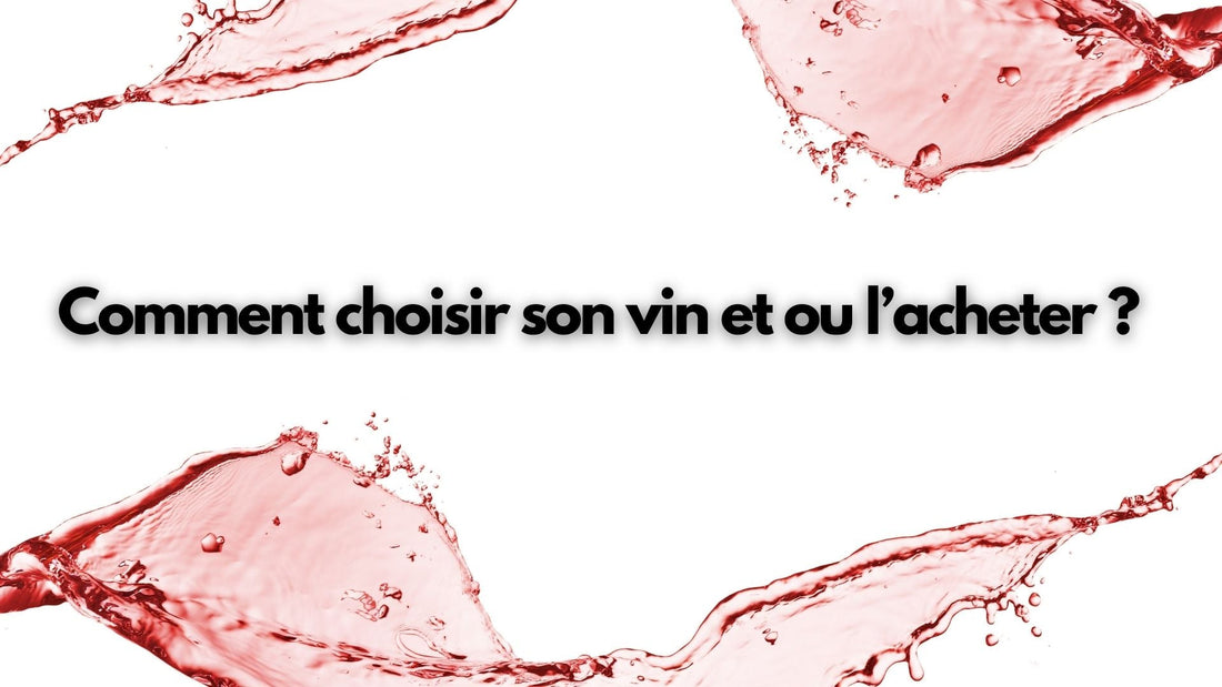 Comment Choisir Son Vin et Où l'Acheter ?