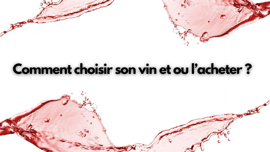 Comment Choisir Son Vin et Où l'Acheter ?