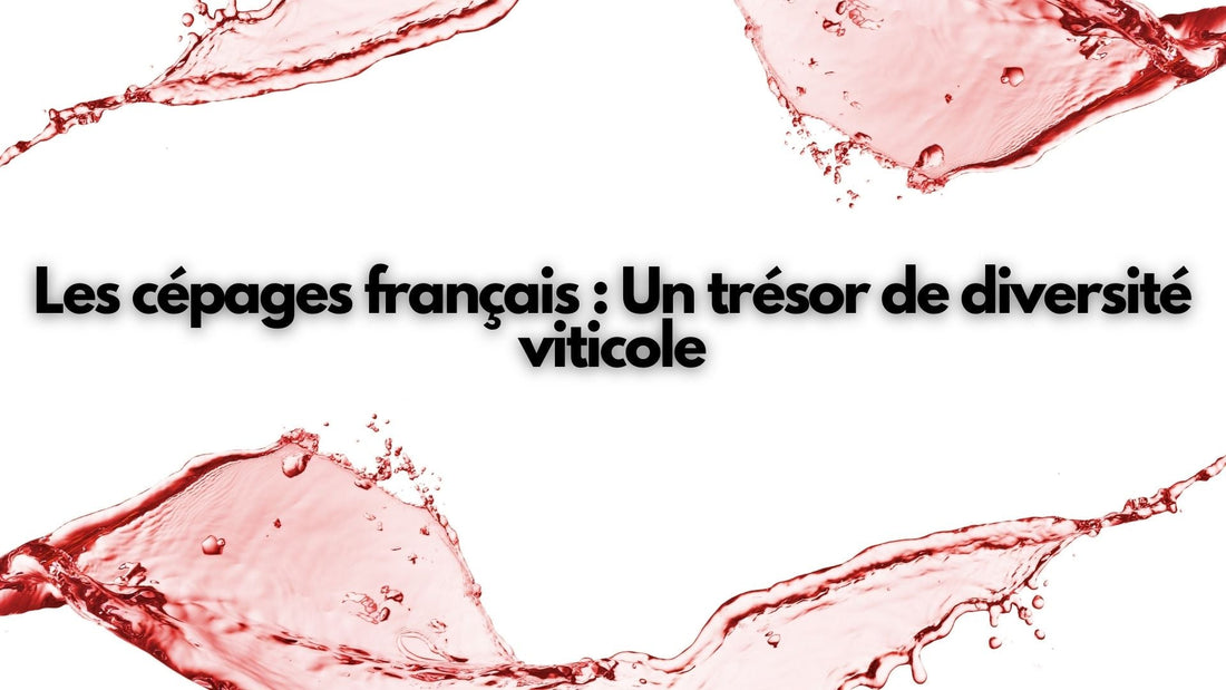 Les cépages français :  Un trésor de diversité viticole