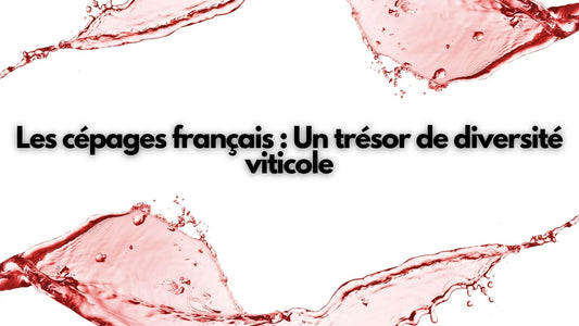 Les cépages français :  Un trésor de diversité viticole